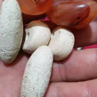 یه جفت مهره
