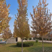 استخدام نیروی فضای سبز