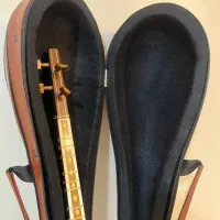 کیف و هارد کیس سه تار|سازهای سنتی|کرج, کوی امامیه|دیوار