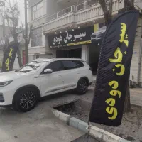 سیرجان دودی