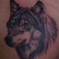 تتو دائم|خدمات آرایشگری و زیبایی|لار, |دیوار