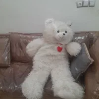 خرس بزرگ خوب ۵۰۰هزارتومان