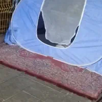 فرش روفرشی گمشده|اشیا|بجنورد, |دیوار