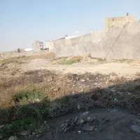 زمین پنجتن|فروش زمین و ملک کلنگی|مشهد, پنجتن|دیوار