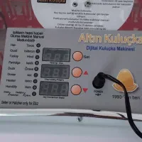 تخم مرغ در دستگاه پذیرفته میشود