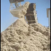 خوراک دام تفاله نیشکر