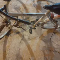 دوچرخه ۲۴ فروشی