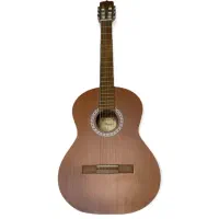 گیتار p40