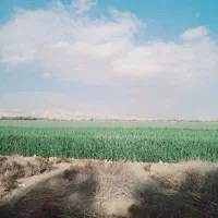 اجاره چاه و تلمبه