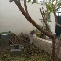 ویلایی داخل بافت فروش یا معاوضه با آپارتمان درکرج|فروش خانه و ویلا|هشتگرد, تهران دشت|دیوار