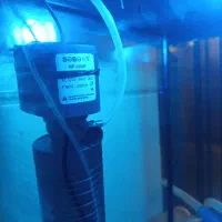 اکواریوم شرکتی|ماهی|تهران, افسریه شمالی|دیوار