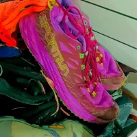 کتونی اورجینال سنجاب