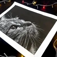 طراحی سیاه قلم چهره و حیوانات(مشهد/گلبهار)|تابلو، نقاشی، عکس|گلبهار, شهر جدید گلبهار|دیوار