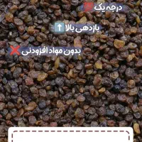 کشمش آبگیری