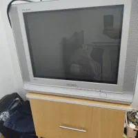 تلویزیون سامسونگ