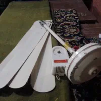 کاملا سالم. فرانسوی