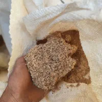 خاک اره|خدمات باغبانی و درختکاری|یزد, |دیوار