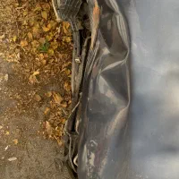 هوندا اکورد مدل 1993 ex|خودرو سواری و وانت|تهران, الهیه|دیوار