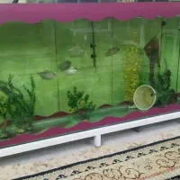 اکواریوم شیشه سکوریت