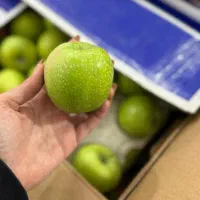 استخدام در فروشگاه