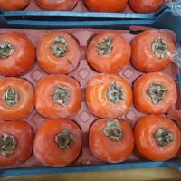 نیازمند کارگر میوه فروشی ماهر