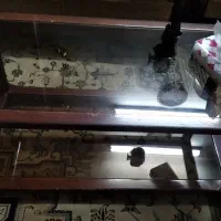 یک میز تلویزیون|مبلمان خانگی و میز عسلی|تهران, آهنگران (سراسیاب دولاب)|دیوار