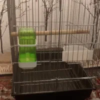 قفس 1033|لوازم جانبی حیوانات|زرندیه, |دیوار