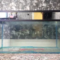 اکواریوم شیشه 8 میل یک متری