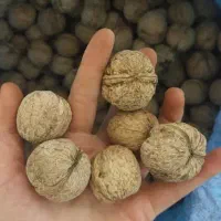 گردو خوش طعم