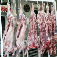 ذبح گوسفند و قصابی