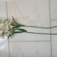 گل مصنوعی|گل مصنوعی|قزوین, |دیوار