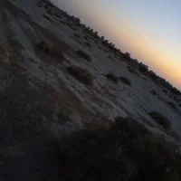 خار|لوازم جانبی حیوانات|کرباسک, |دیوار