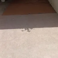 موکت