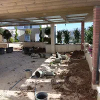 باغبانی|خدمات باغبانی و درختکاری|کرمان, |دیوار