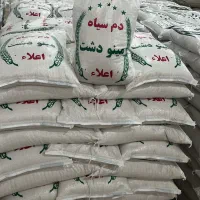 برنج دم‌سیاه وفجر مینودشت