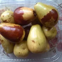 خشک کن ۳۵۰کیلو|ماشین‌آلات صنعتی|مشهد, نظام دوست|دیوار