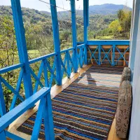 کلبه جنگلی با ویو بینظیر|اجارهٔ کوتاهمدت ویلا و باغ|رشت, باهنر|دیوار