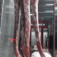 گوشت شتر مرغ غاز بوقلمون و..ران .گردن .جیگر و