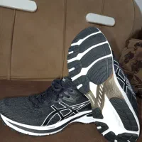 کتونی های اورجینال|کیف، کفش، کمربند|رشت, خرسندی|دیوار