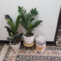 انواع سیم کارت سبز