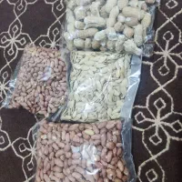 بادام زمینی