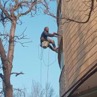 پیچ رول پلاک سنگ نمای ساختمان