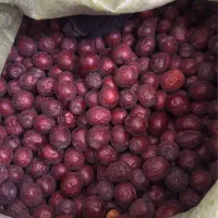 عناب دارویی