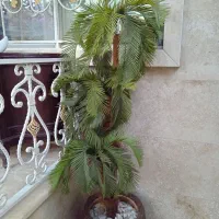 درخت مصنوعی برای سالن وحیاط