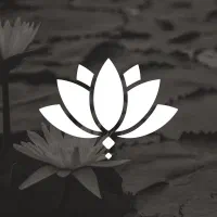 خدمات شبکه ،دوربین و کامپیوتر