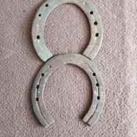 نعل های زیر پای اسب رفته|اسب و تجهیزات اسبسواری|گنبد کاووس, |دیوار