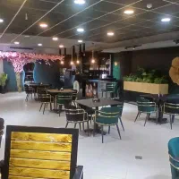 استخدام بلاگر و مدلینگ(بانوان)