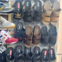 کتونی|کیف، کفش، کمربند|نیشابور, فردوسی جنوبی|دیوار