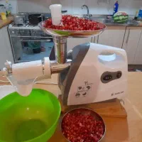 یک دستگاه۲کاره چر خ×آبگوجه/گو شت +ربگیر،صنعتی|سایر لوازم برقی|تهران, تجریش|دیوار
