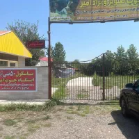 زمین بزرگ در بهترین نقطه
